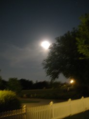 Gibbous Moon